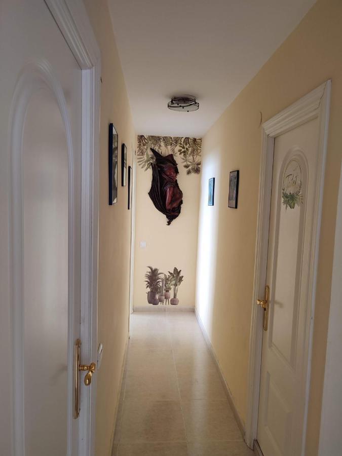 Apartamento En Playa Semi-Privada Бенальмадена Экстерьер фото